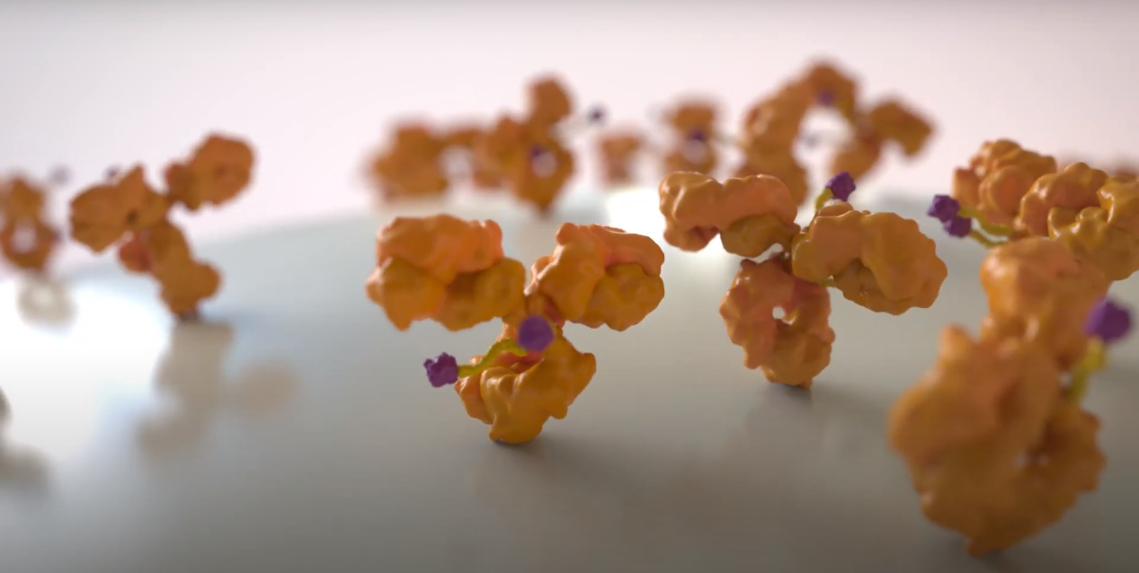 The advent of the era of antibody coupled drug ADC The advent of the era of antibody coupled drug ADC