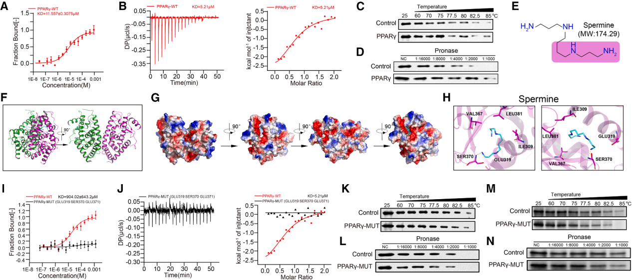 The ammonia produced by tumors promotes the enrichment of regulatory T-cells and inhibits the anti-tumor immune response The ammonia produced by tumors promotes the enrichment of regulatory T-cells and inhibits the anti-tumor immune response